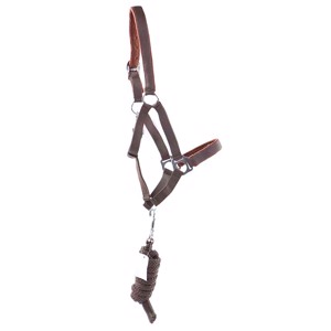 AB Polyester Halfter